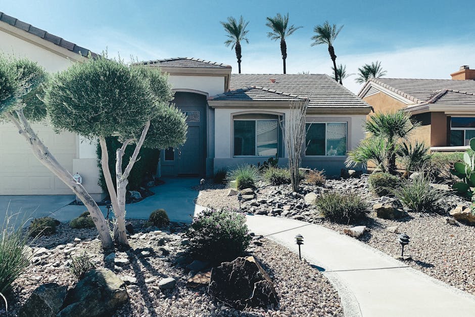 Experienced Desert Landscape Contractors in Lake Havasu City