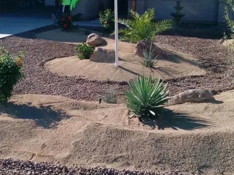 drought proof garden plants