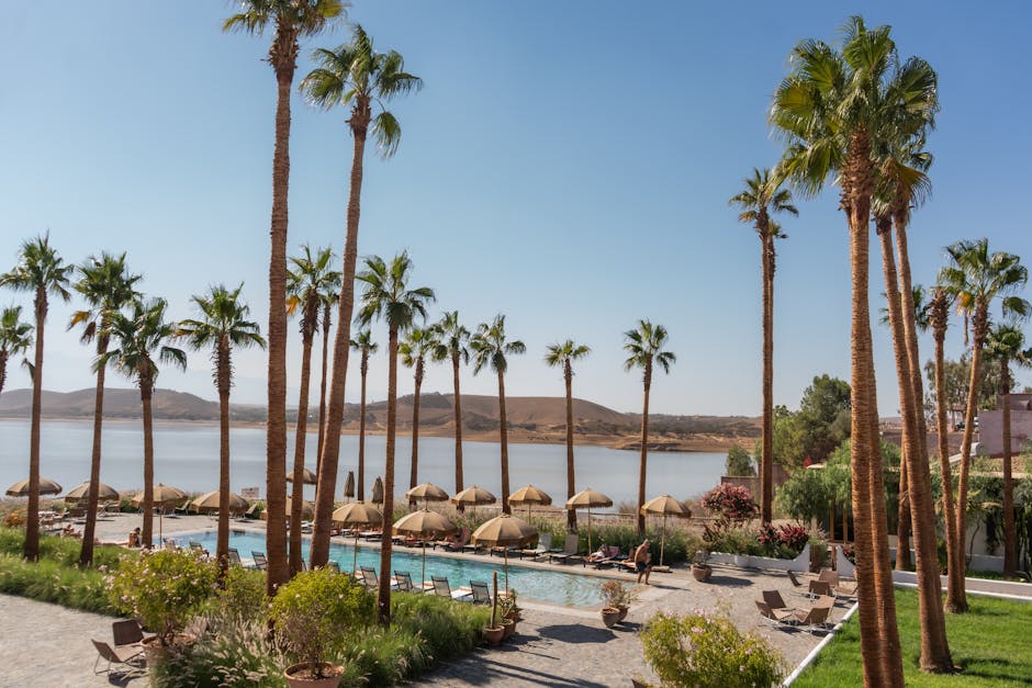 River Palm Landscaping Lake Havasu AZ Address