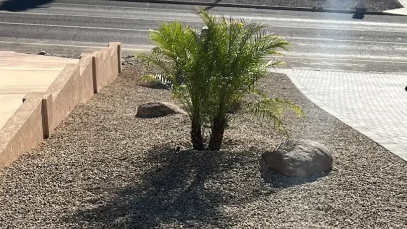 How to Manage Water Runoff with Smart Retaining Wall Design