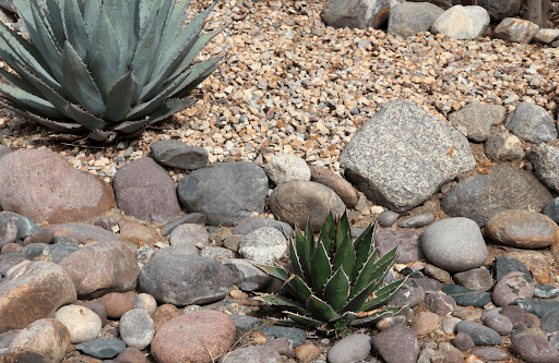 Stunning Rock Garden Ideas for a Low Maintenance Oasis